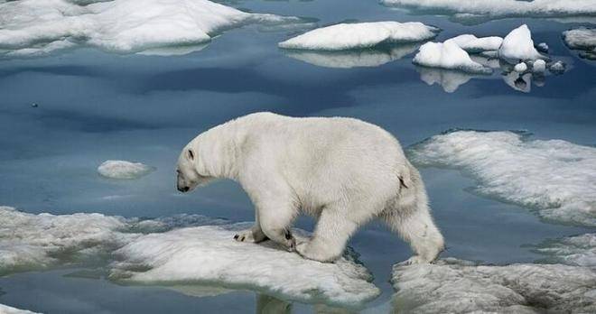 Минус 50 градуса по Целзий в Сибир