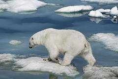 Минус 50 градуса по Целзий в Сибир