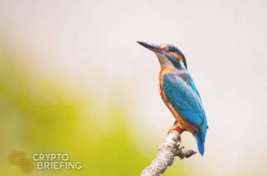 Кардано намери стабилна опора преди възможен възход