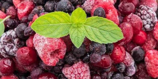 Основните принципи на замразяването