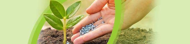 „Ай Ди Трейдинг 2011“– търговия на едро с минерални торове, семена, препарати