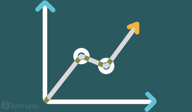 Разклонението Мери на Кардано предлага естествена поддръжка за множество активи