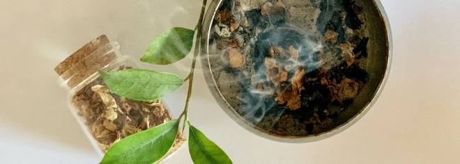 Пътешествие в света на зелената магия