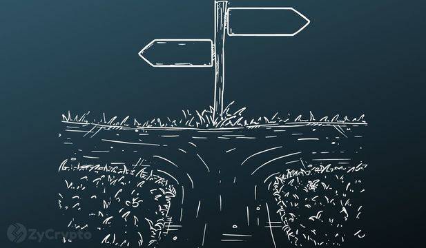 Кардано „работи върху нещо“, което би могло да разреши дилемата за децентрализация на Туитър