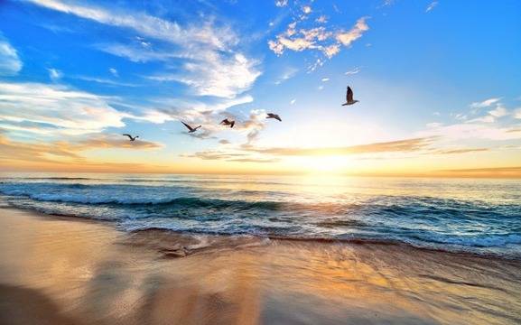 Дневен хороскоп за 23 януари 2021г. – Хороскопи за всяка зодия – народна медицина, здраве, астрология, съдби, секс и зодии