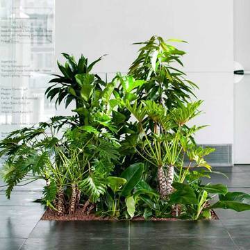 Система за декорация при двоен под FLORA на NESITE