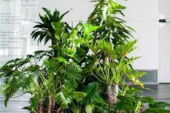 Система за декорация при двоен под FLORA на NESITE