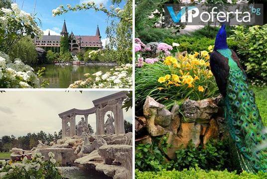 Билет за замъка в Равадиново – Замък „Влюбен във вятъра“, Равадиново