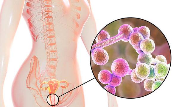Вагинални гъбички – лечението започва отвътре навън