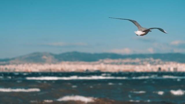 Дневен хороскоп за 03 февруари 2021г. – Хороскопи за всяка зодия – народна медицина, здраве, астрология, съдби, секс и зодии