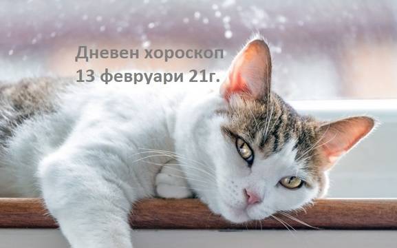 Дневен хороскоп за 13 февруари 2021г. – Хороскопи за всяка зодия – народна медицина, здраве, астрология, съдби, секс и зодии