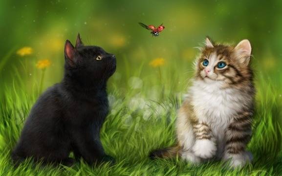 Дневен хороскоп за 24 февруари 2021г. – Хороскопи за всяка зодия – народна медицина, здраве, астрология, съдби, секс и зодии