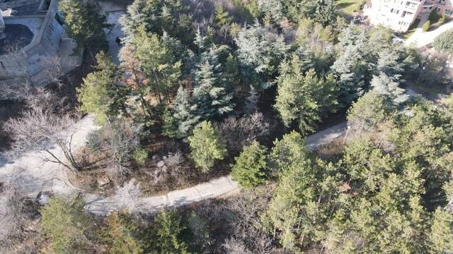 Иглолистни дървета