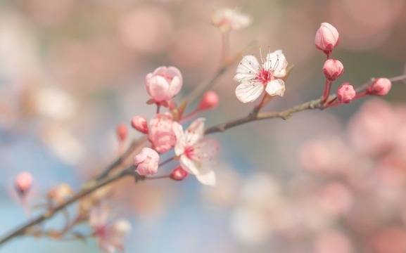 Дневен хороскоп за 04 март 2021г. – Хороскопи за всяка зодия – народна медицина, здраве, астрология, съдби, секс и зодии