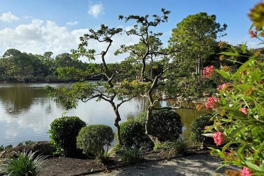 Градините „Мориками“: японски оазис в тропическа Флорида (фотогалерия)