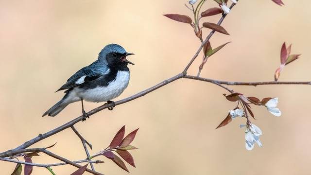 Дневен хороскоп за 07 март 2021г. – Хороскопи за всяка зодия – народна медицина, здраве, астрология, съдби, секс и зодии