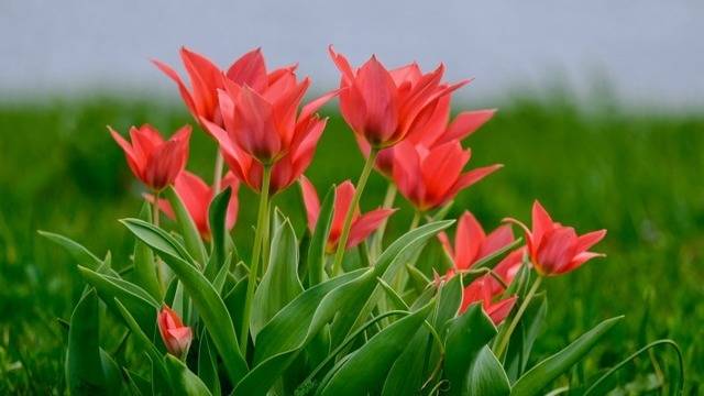 Дневен хороскоп за 08 март 2021г. – Хороскопи за всяка зодия – народна медицина, здраве, астрология, съдби, секс и зодии