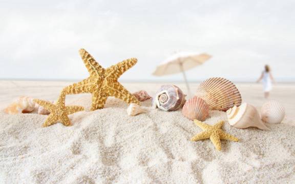 България. Топ 5 курорти на северното Черноморие