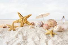 България. Топ 5 курорти на северното Черноморие