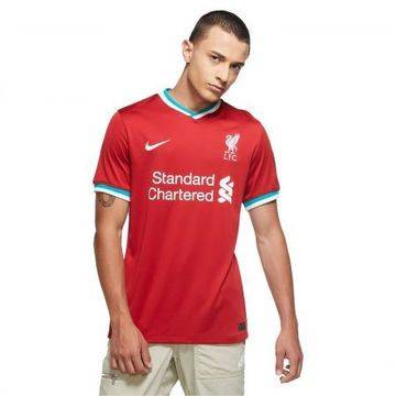 Mъжки тениски nike