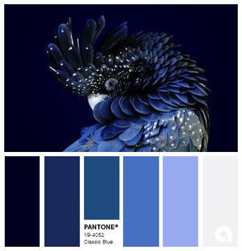 Тенденции в интериора: класическо синьо