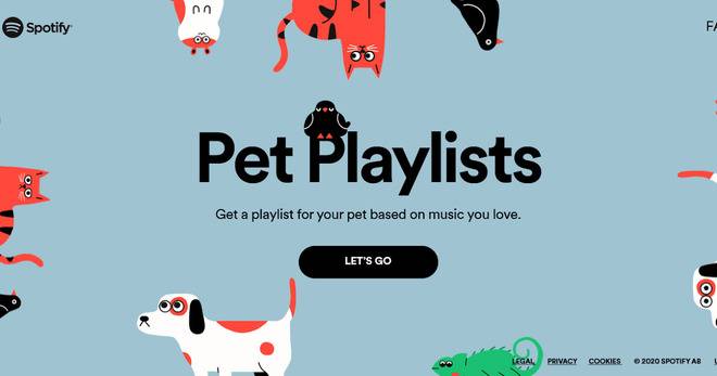 Знаете ли каква музика слушат вашите домашни любимци