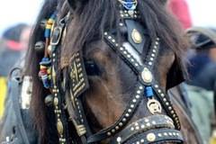 Отмениха Тодоровден в Бачево, който е и празник на селото