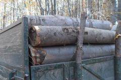 Дръзко нападение край Разлог! Нарушител атакува горски с нож