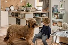 Какъв тип подова настилка трябва да изберете, ако имате домашни любимци?