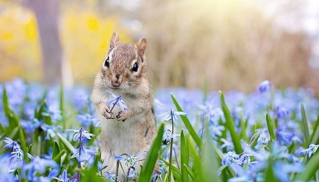 Месечен хороскоп за Април 2021