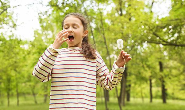 Алергията може да се излекува, ако се помогне на клетката