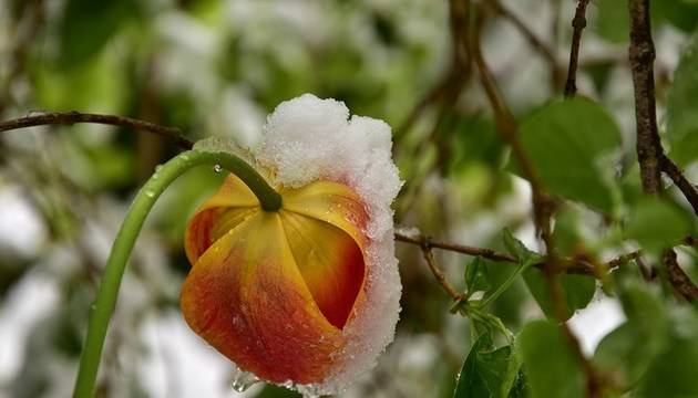 Зимата се завръща за кратко
