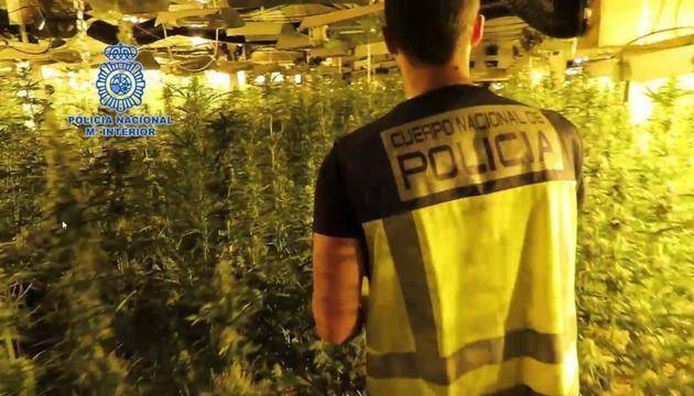 Българо-испанска наркобанда бе разбита в Майорка