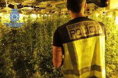 Българо-испанска наркобанда бе разбита в Майорка