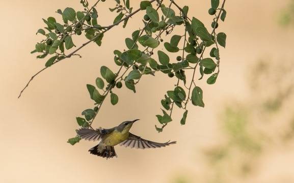 Дневен хороскоп за 09 април 2021г. – Хороскопи за всяка зодия – народна медицина, здраве, астрология, съдби, секс и зодии