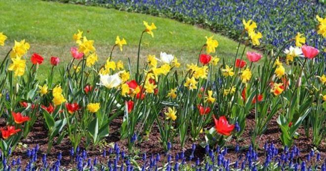 Седмичен хороскоп за периода от 12 до 18 април-ДЕВА Начало на хубав етап, ЛЪВ Добри постижения