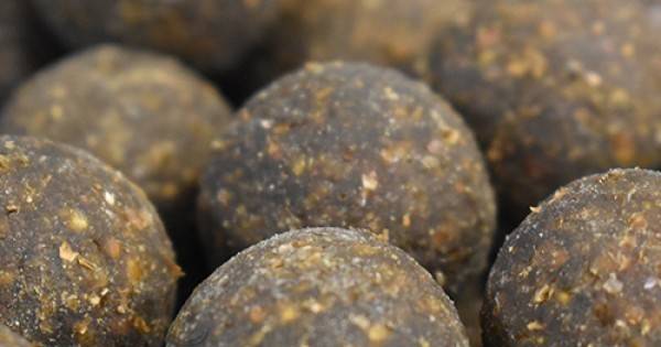 Протеинови топчета Риба/ Чесън 20 мм