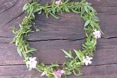 Празнуваме Цветница!