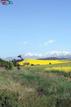 Благоевград в жълта премяна
