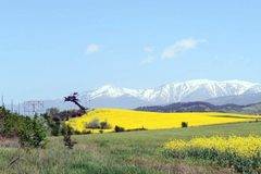 Благоевград в жълта премяна