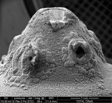 Ползи и вреди от горивните добавки