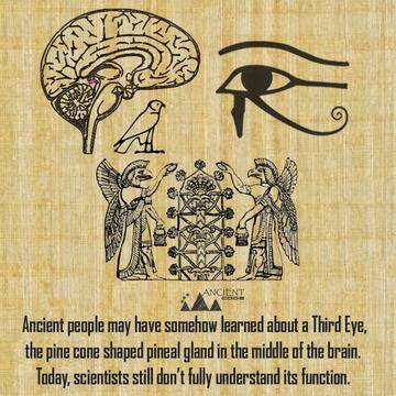 Хващат ли учените древните знания за това как да променят ДНК?