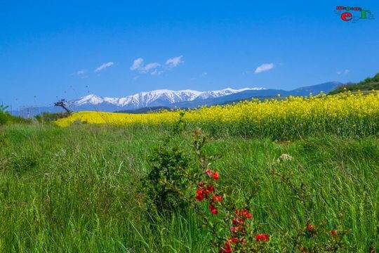 Благоевград – новини и още нещо …