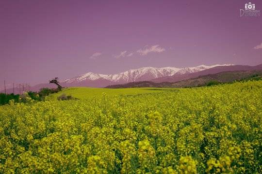 Паметници на културата в Благоевград