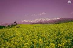 Паметници на културата в Благоевград