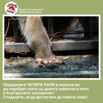 Зов за зоопарковете в Деня на българските зоопаркове – 18 май