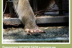 Зов за зоопарковете в Деня на българските зоопаркове – 18 май