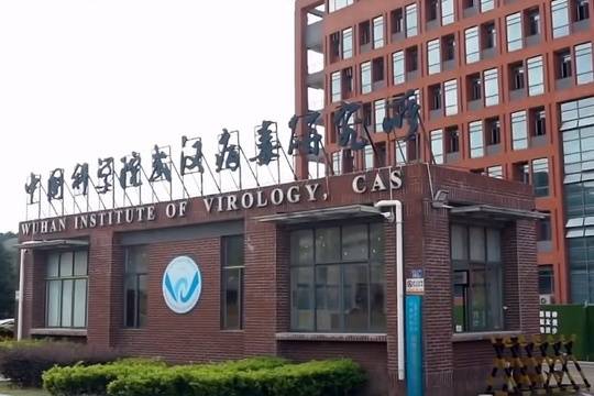 Aмериканският сенат: СЗО спешно да разследва произхода на COVID-19