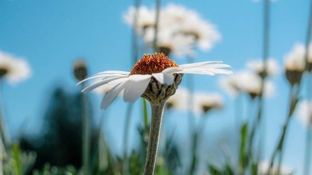 Дневен хороскоп за 09 юни 2021г. – Хороскопи за всяка зодия – народна медицина, здраве, астрология, съдби, секс и зодии