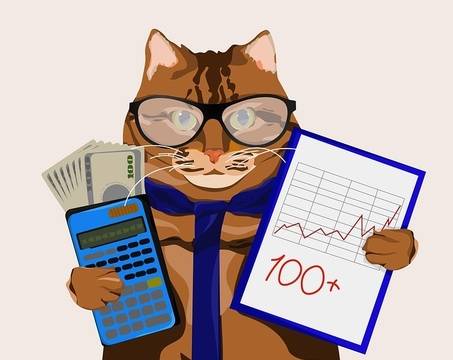 Избор на междуселищно счетоводство